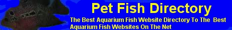 Pet Fish Directory